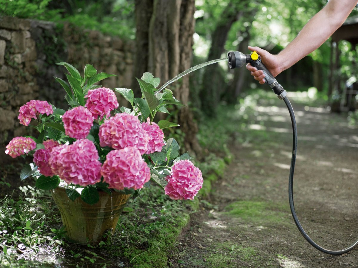 Karcher Manguera Performance Premium 1/2"-50m